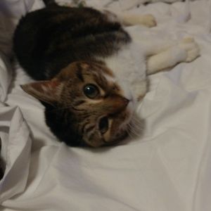 Meet your Posher, Katherine